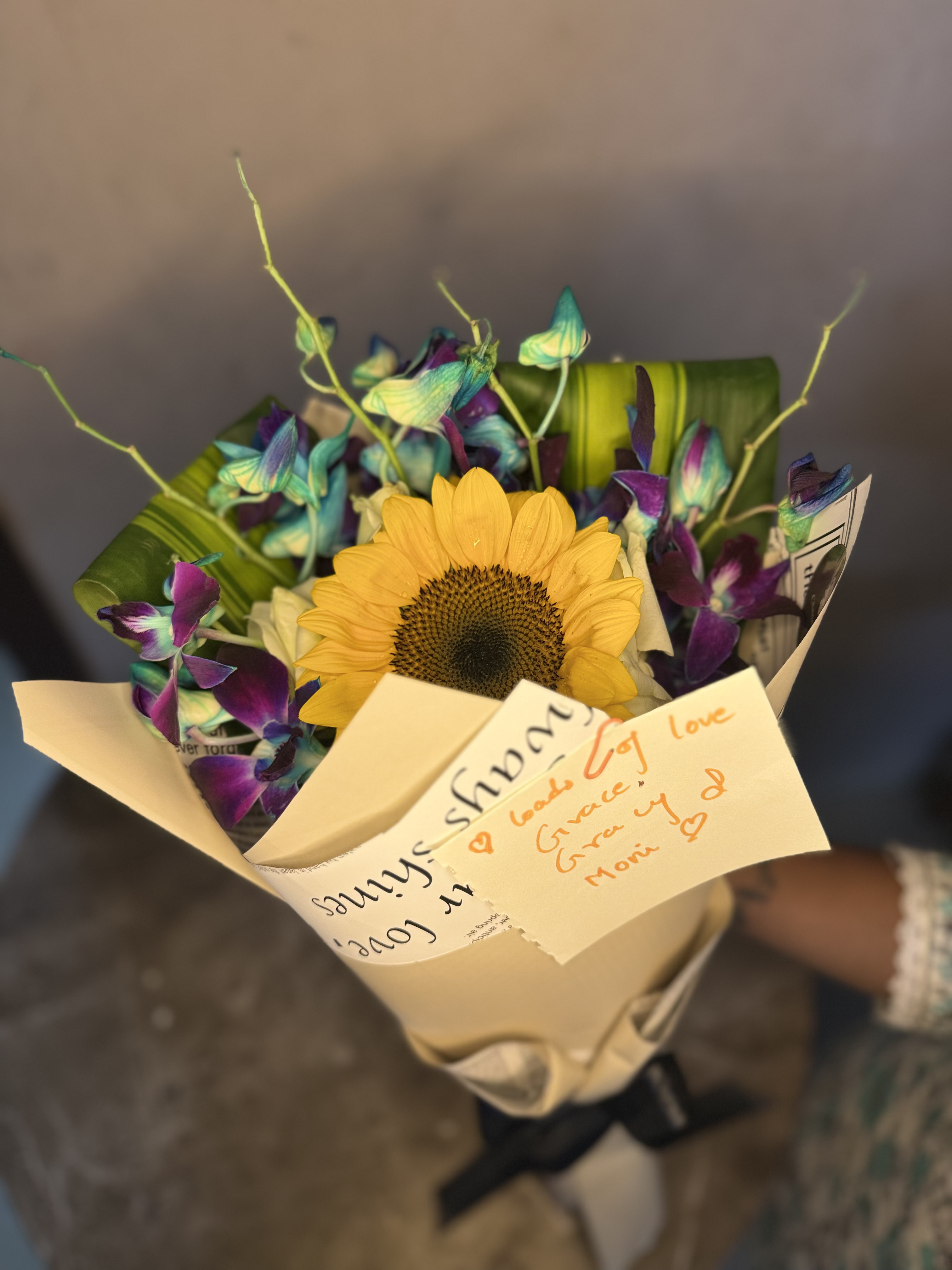 EXOTIC FLOWERS Radiant Petals