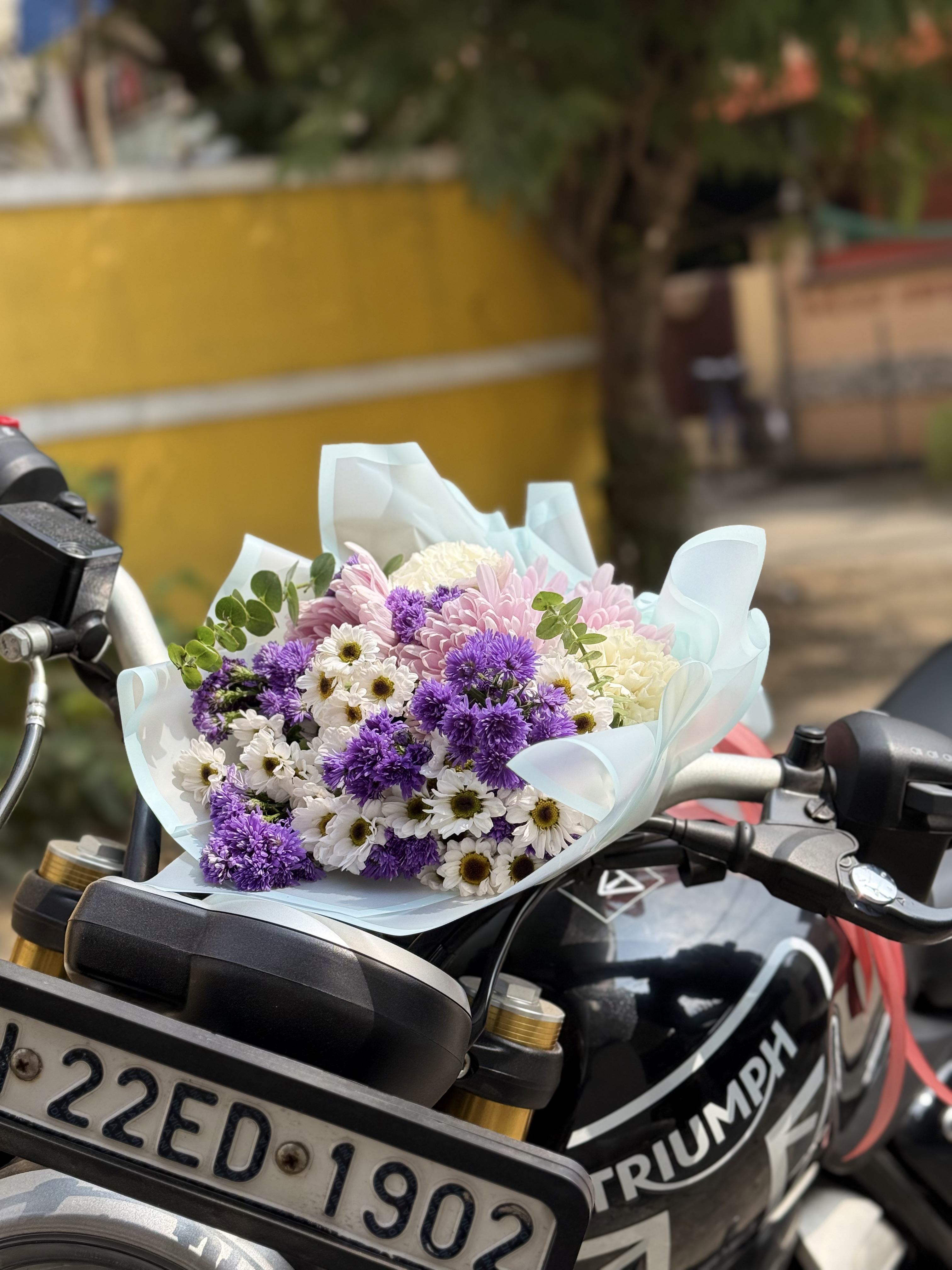 EXOTIC FLOWERS Sunset Petals