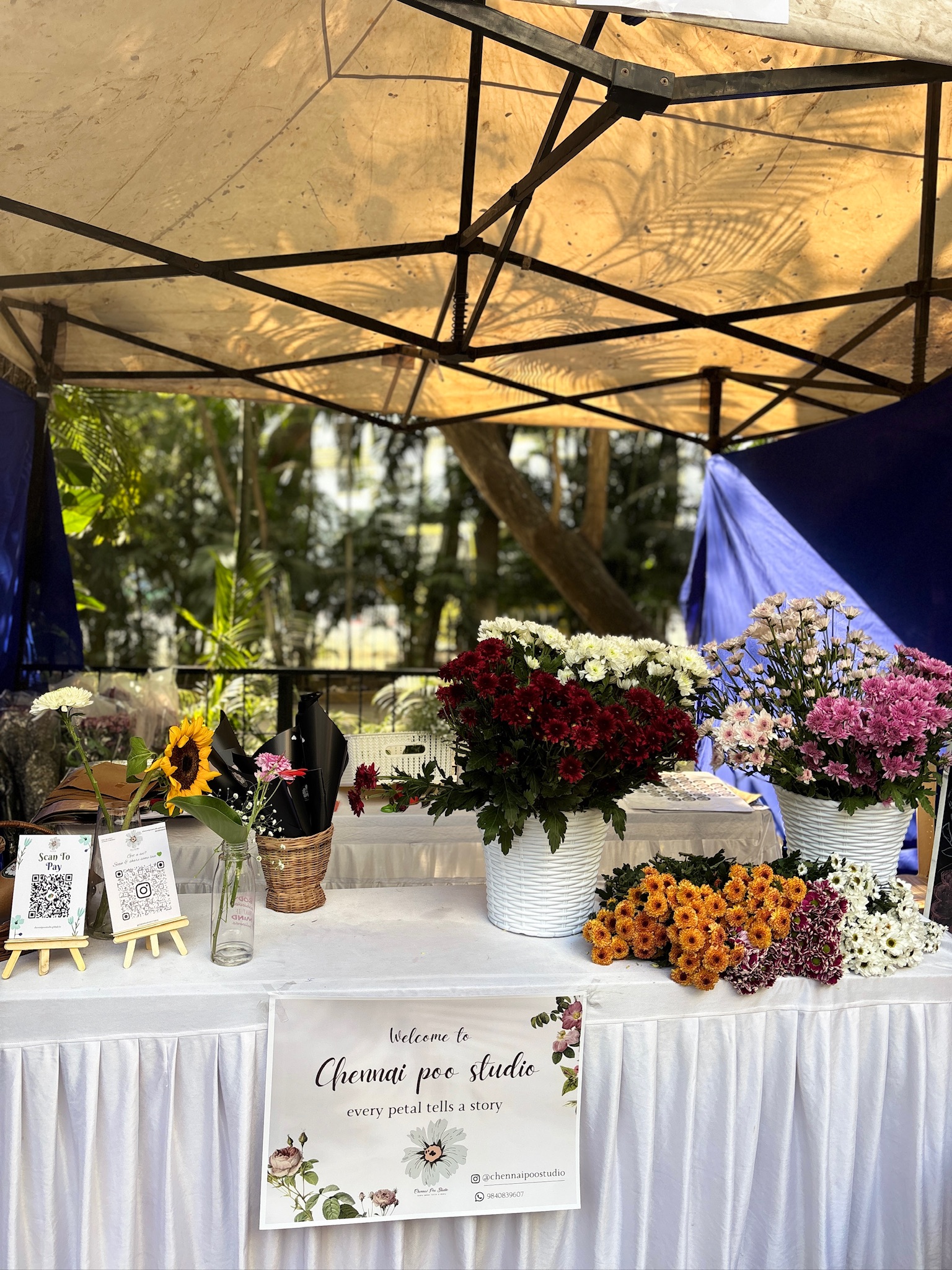 BLOOM STALL Fresh Collection