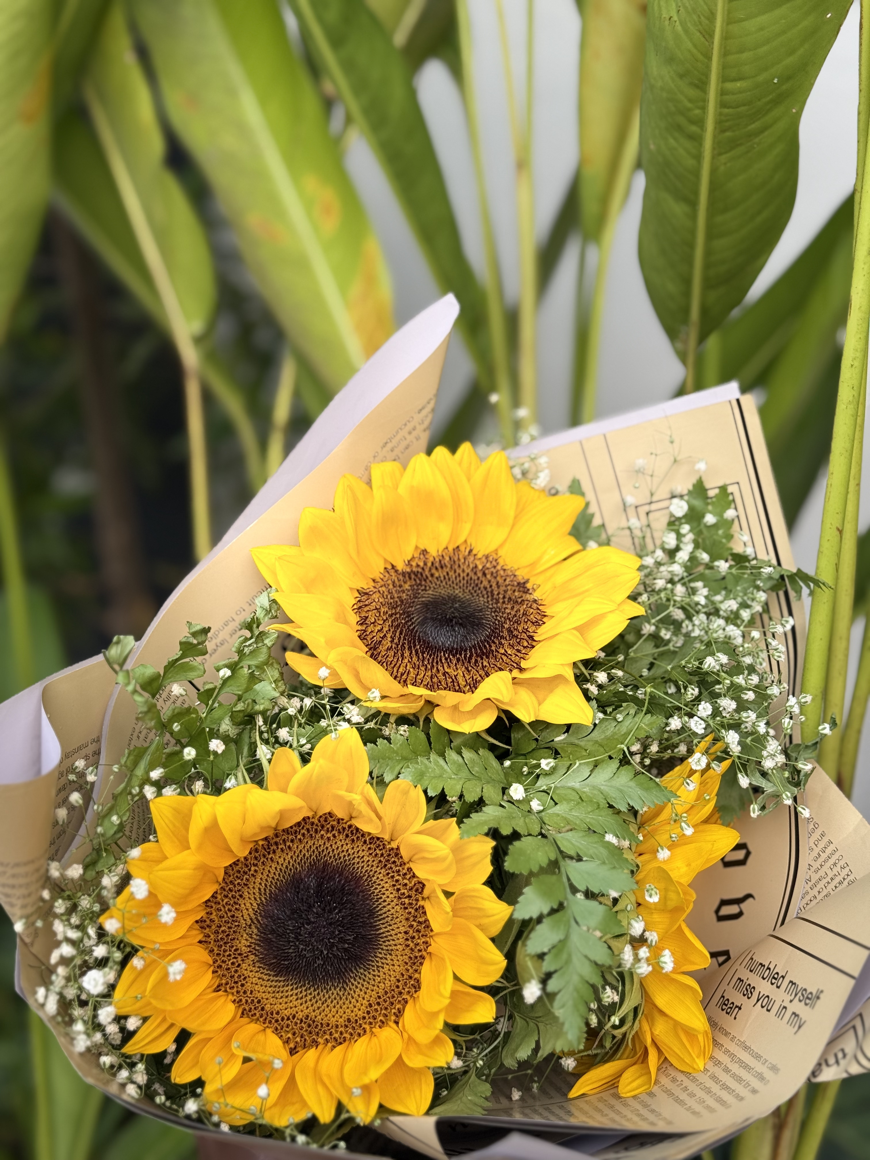 SUNFLOWERS Summer Vibes